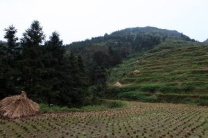 范文芳挺孕肚頒獎 吳尊求當鄭惠玉親家
